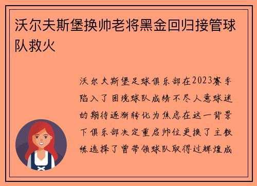 沃尔夫斯堡换帅老将黑金回归接管球队救火