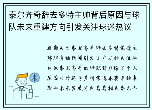 泰尔齐奇辞去多特主帅背后原因与球队未来重建方向引发关注球迷热议